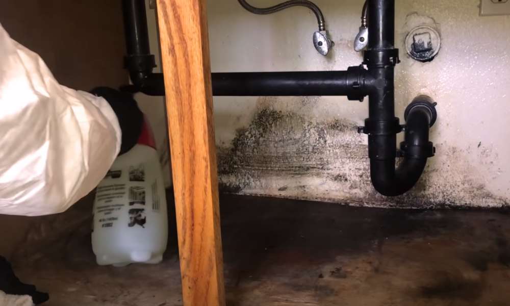 How To Get Rid Of Mold Under Sink