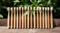 eco friendly bamboo toothbrushes