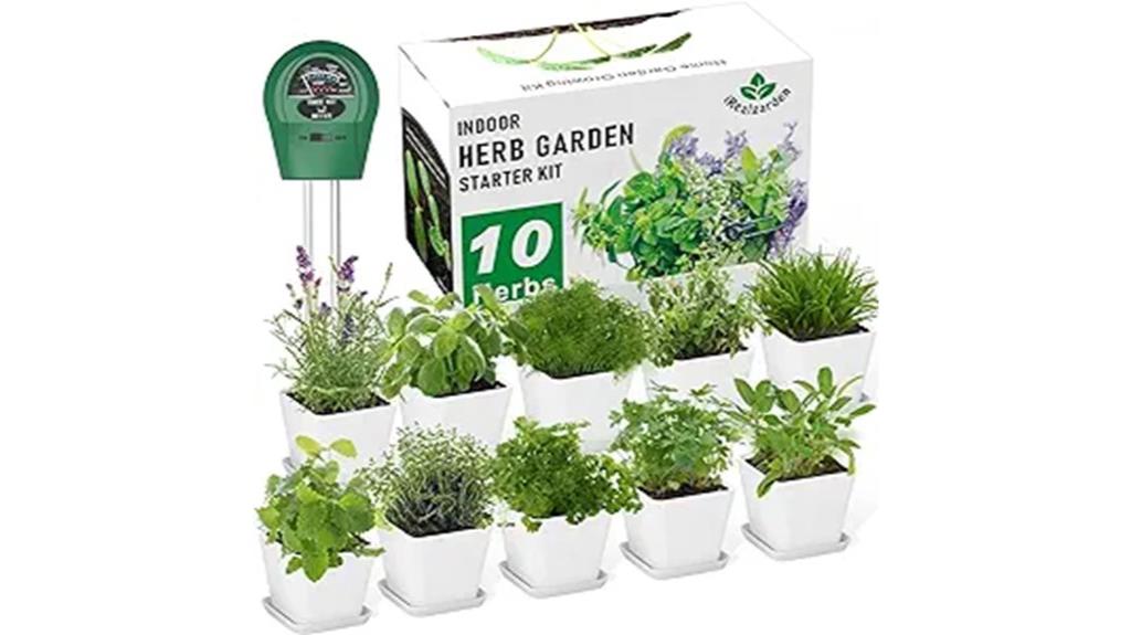 windowsill herb garden kit