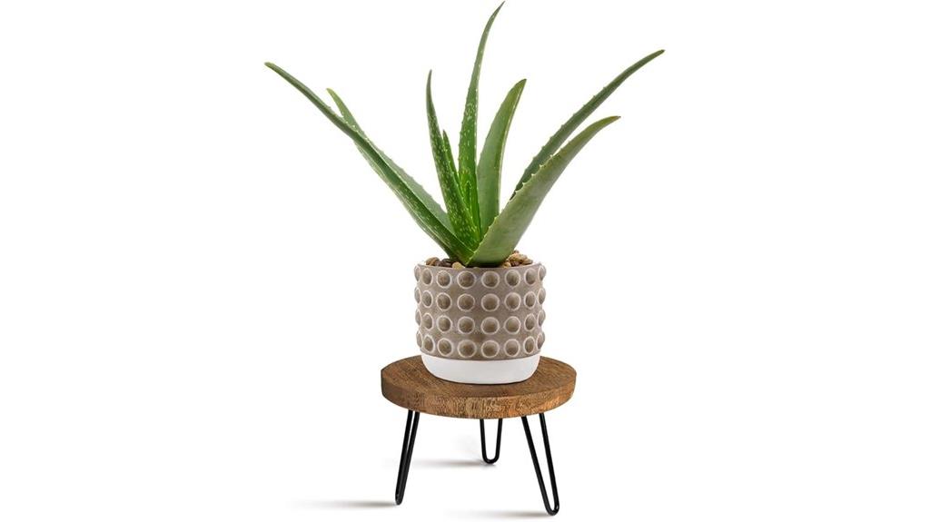 wooden plant stand indoor