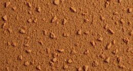 earthy pinkish brown tones