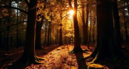 warm wood tones dominate