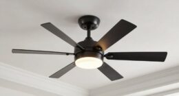 top ceiling fan picks