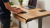 15 Best Electric Standing Desk With Storage in 2026