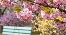 spring color combinations everywhere