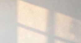 warm white wall secrets