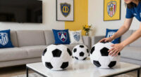 11 Best Soccer-Themed Living Room Decor in 2026