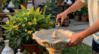 15 Best Bird Baths in 2026
