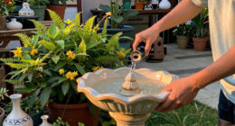 15 Best Bird Baths in 2026