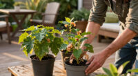 Plants That Are Quietly Increasing Fire Risk in American Gardens – And What To Choose Instead