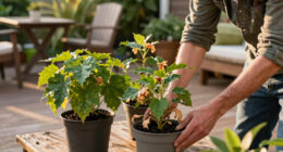 Plants That Are Quietly Increasing Fire Risk in American Gardens – And What To Choose Instead