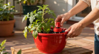 This Genius Self-Watering Tomato Planter Keeps My Plants Hydrated in Summer Heat – With Very Little Effort