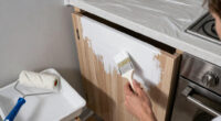 10 Best Kitchen Cabinet Paint in 2026