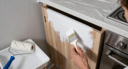 10 Best Kitchen Cabinet Paint in 2026