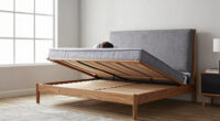 14 Best Murphy Beds in 2026