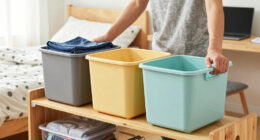 Dorm Room Organization Bins: A Back to school Guide