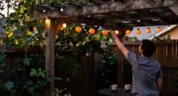 13 Best Halloween Outdoor String Lights for Spooky Displays in 2027