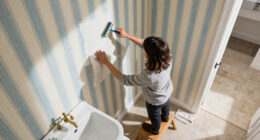 14 Best Striped Bathroom Wallpapers for 2027