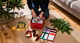 15 Best Christmas Decoration Storage Solutions for 2027