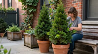 7 Best Privacy Shrubs for a Living Screen in 2027