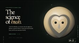 The Owlery — Institute for Silent Flight — Silence as spectacle (FABLE/175, room 159)