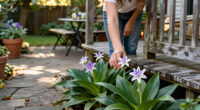 Toad Lilies Are The Shade-Loving Perennials Your Fall Garden Needs